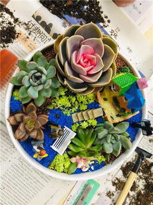 深圳花藝沙龍 以芬芳為紐帶，深化客戶情誼的聚會與花藝工程