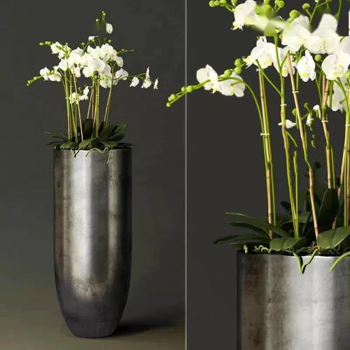 歐派軟裝 家居軟裝工程的時間規劃與花藝工程執行指南